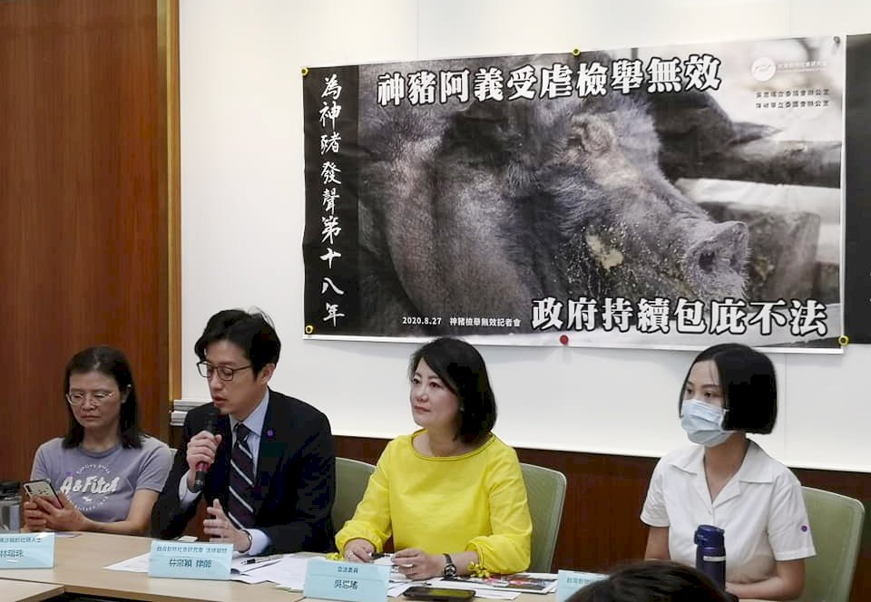 動保團體為神豬請命 籲政府開罰虐殺神豬、勿包庇不法