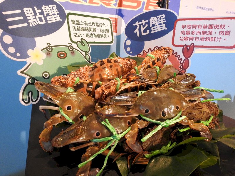 秋風起，蟹腳癢！台灣秋蟹風味大解密