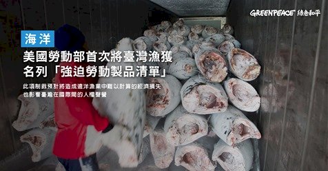 台漁獲遭美列童工或強迫勞動生產清單　農委會：不影響銷美但衝擊形象