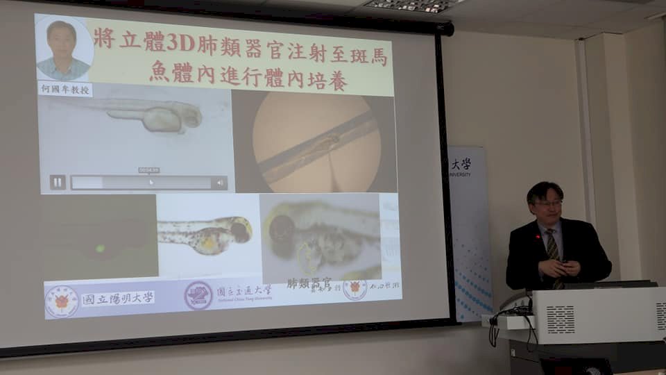 10c.c血培養出3D肺類組織！陽明大學技術突破有助遺傳性疾病藥物研發(影音)