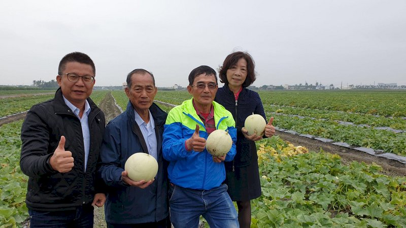 瓜瓜樂？全台唯一「冬季瓜」在屏東