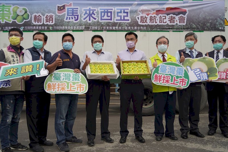 突破疫情困境 &nbsp;屏東蜜棗外銷馬來西亞