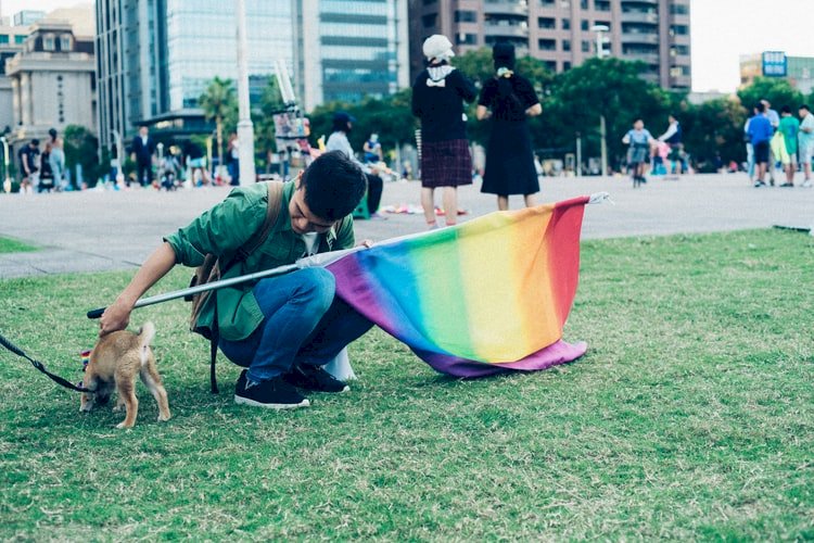 包裝出來的假民主  只能靠黑別的國家來突出中國的好