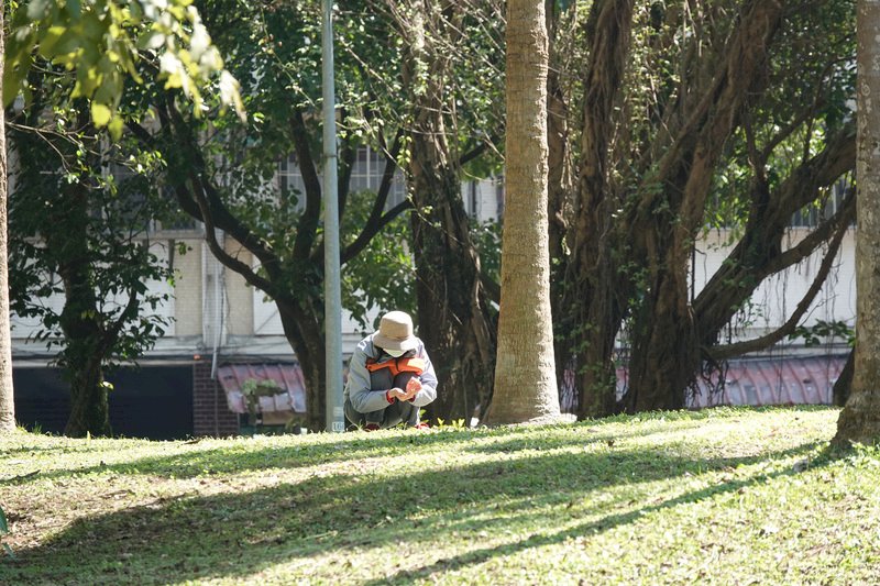春季氣候顯現 東北風減弱早晚溫度升 高溫上看28度