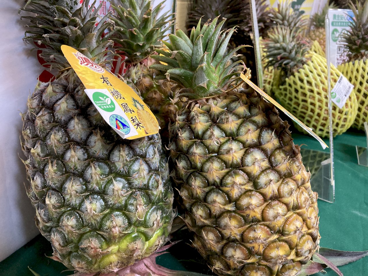中國用招偷台灣品種 農委會開鍘仿效日本祭3招