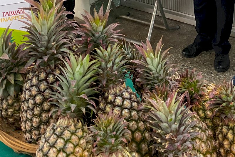 禁台灣鳳梨後 陸再推對台農林22條