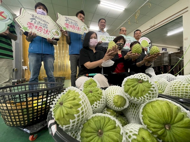 杜拜，我們來了！分散中國市場風險，台東鳳梨釋迦首發杜拜
