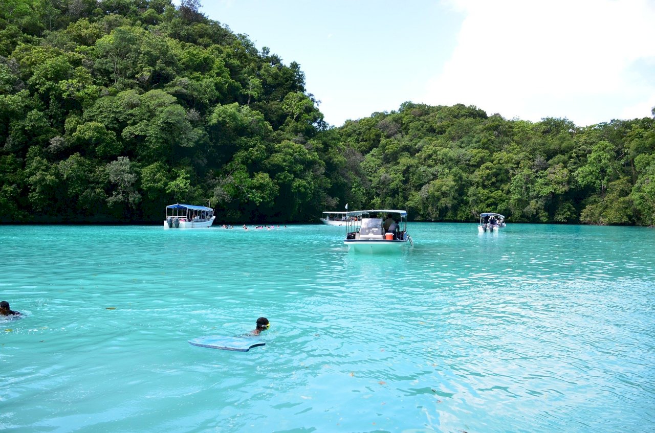 帛琉放寬旅遊泡泡旅客上限 &nbsp;訪水母湖補助25美元
