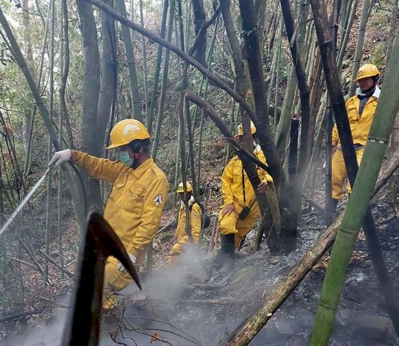 阿里山森林大火累壞護管員 公路旁起火原因呼之欲出