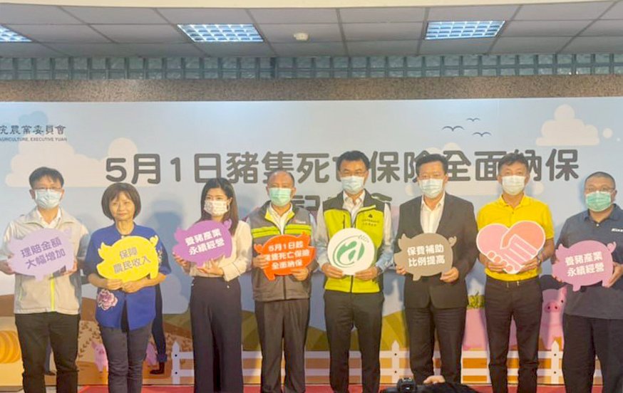 不再擔心吃到斃死豬 豬隻死亡保險五一全面納保 (影音)