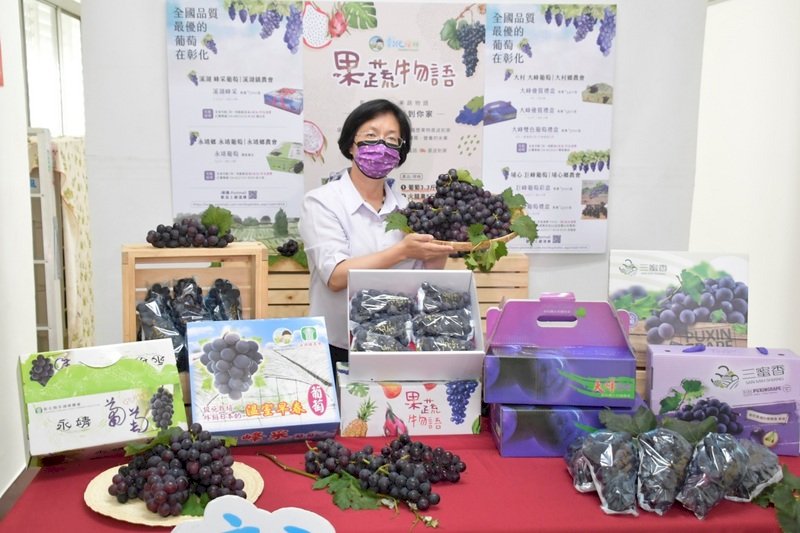 水果盤商染疫葡萄無辜受害  中央地方齊救銷量