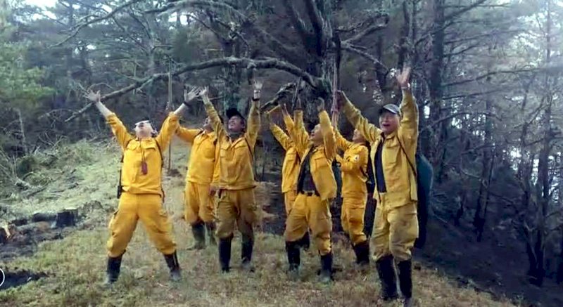 玉山森林大火燒8天獲控制  森管員歡呼終於能回家