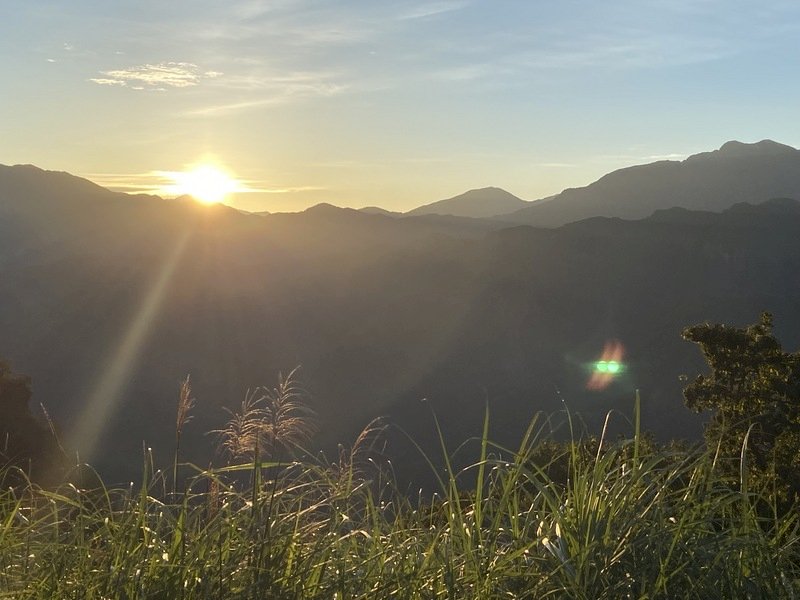 阿里山林鐵復駛！停駛期間加強養護  平安渡過豪雨侵襲