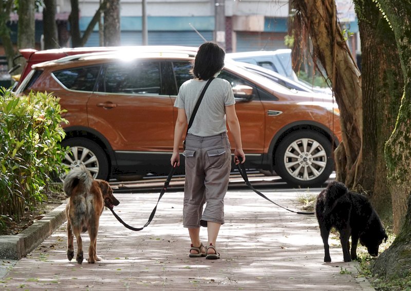 高壓減弱  西部東北部及外島易有陣雨或雷雨