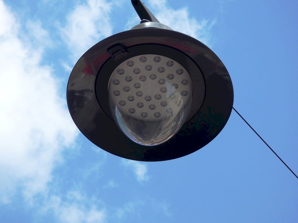 研究：LED路燈光害致昆蟲數量銳減