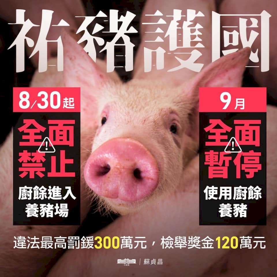防堵非洲豬瘟入台 蘇揆：9月禁廚餘養豬 最高罰300萬