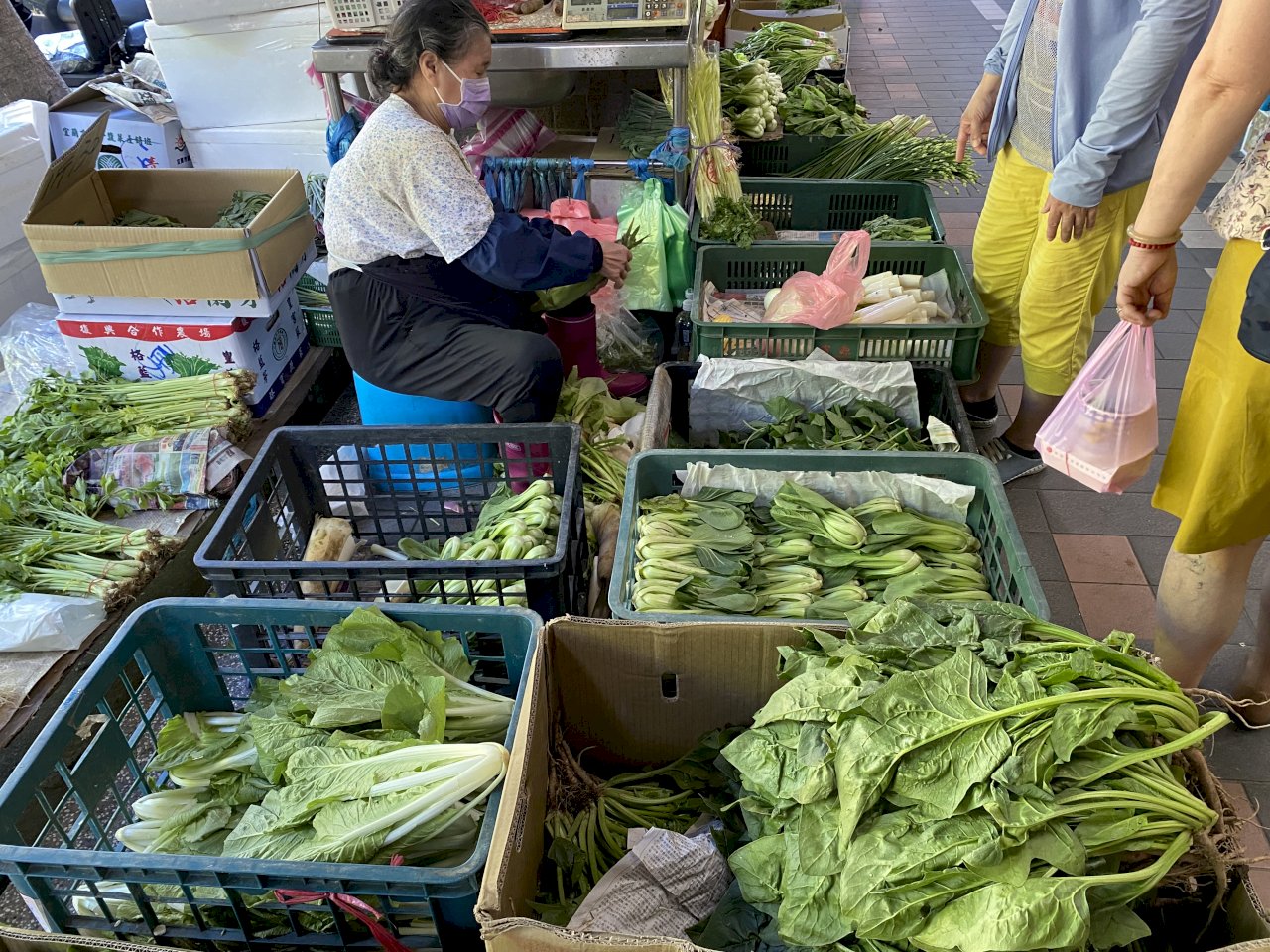 高麗菜每公斤喊至百元 北農明起提供9項平價菜