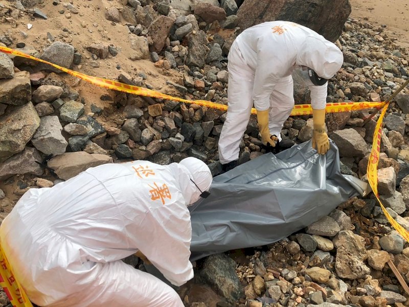 馬祖灘岸鯨豚擱淺死亡 2021年累計18起