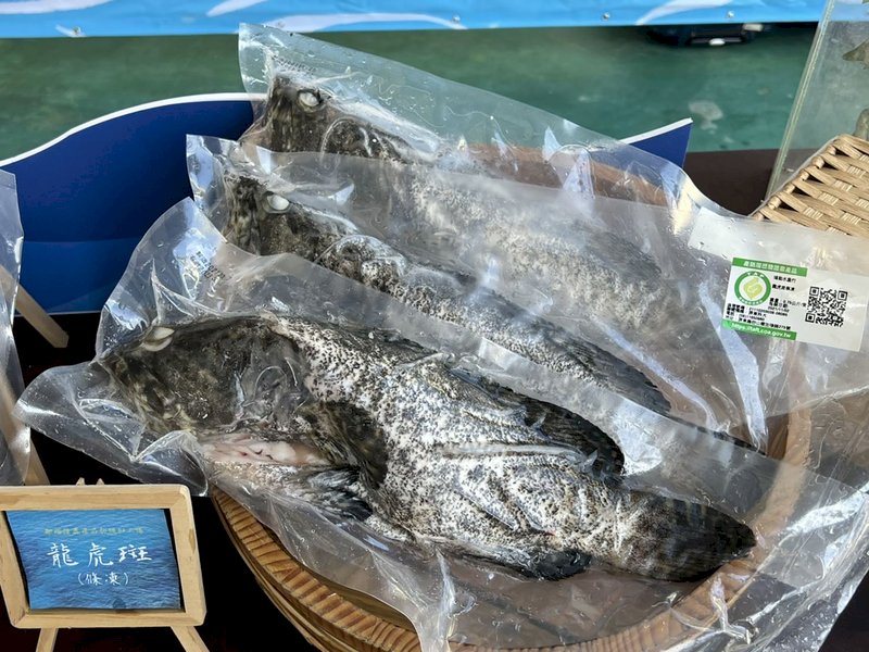 石斑魚繼水果後也被卡 銷中又一翻版？！