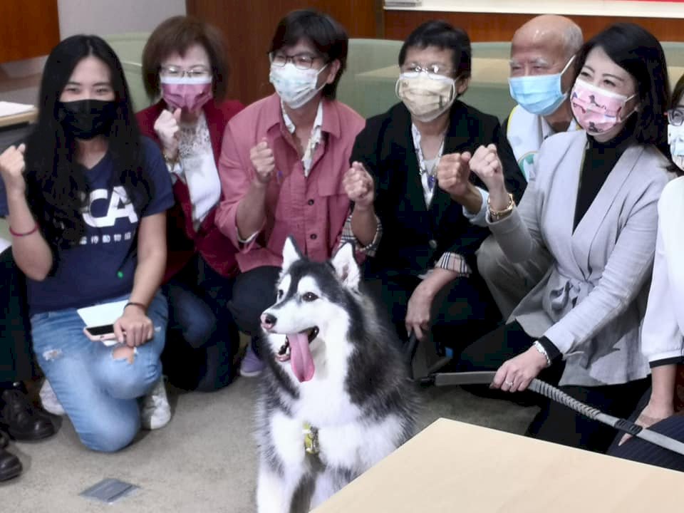 毛小孩有家歸不得 動保團體籲速除公寓大廈「禁寵令」（影音）