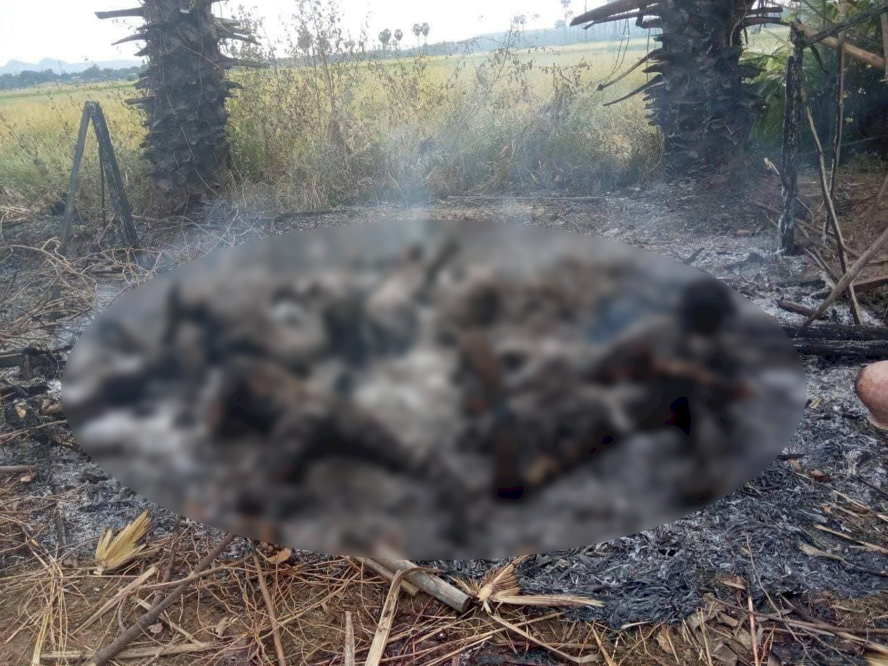 美與聯合國譴責緬甸軍方殺害村民
