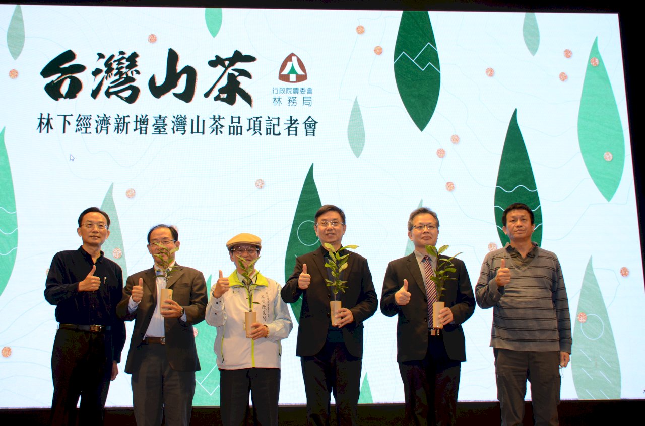林下經濟2年創造2千萬效益 今宣布新增台灣山茶