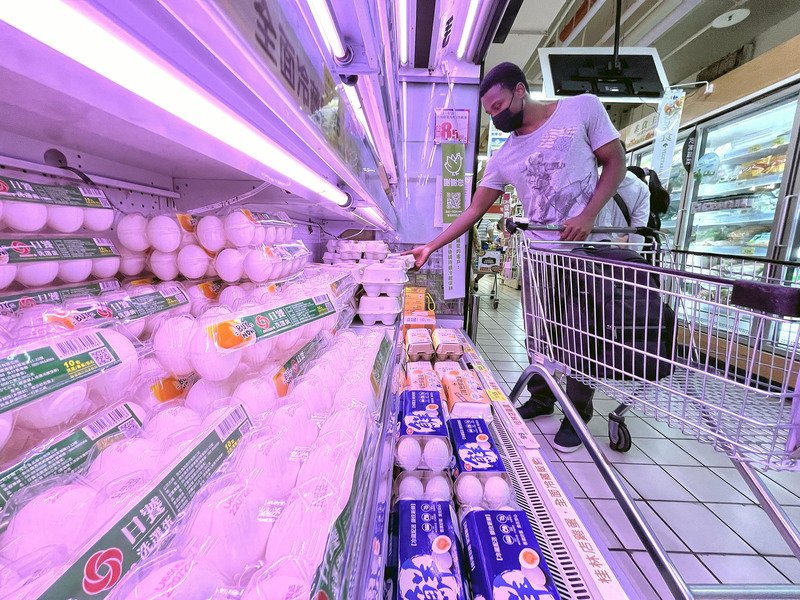 全球禽流感、豬瘟肆虐 學者：明年相關產品恐喊漲
