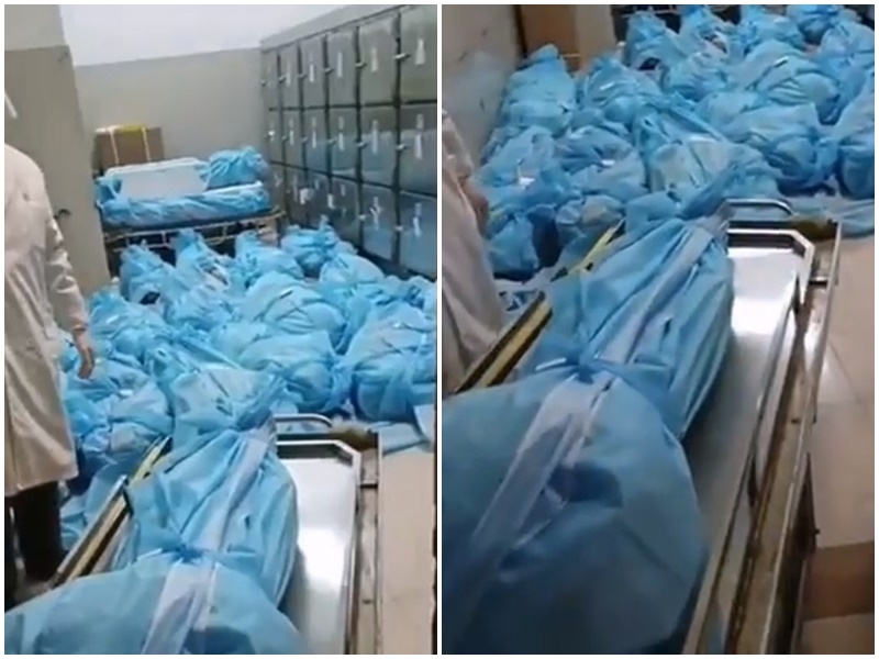疑中國演員宋丹丹投訴 &nbsp;指醫院遺體堆積如山