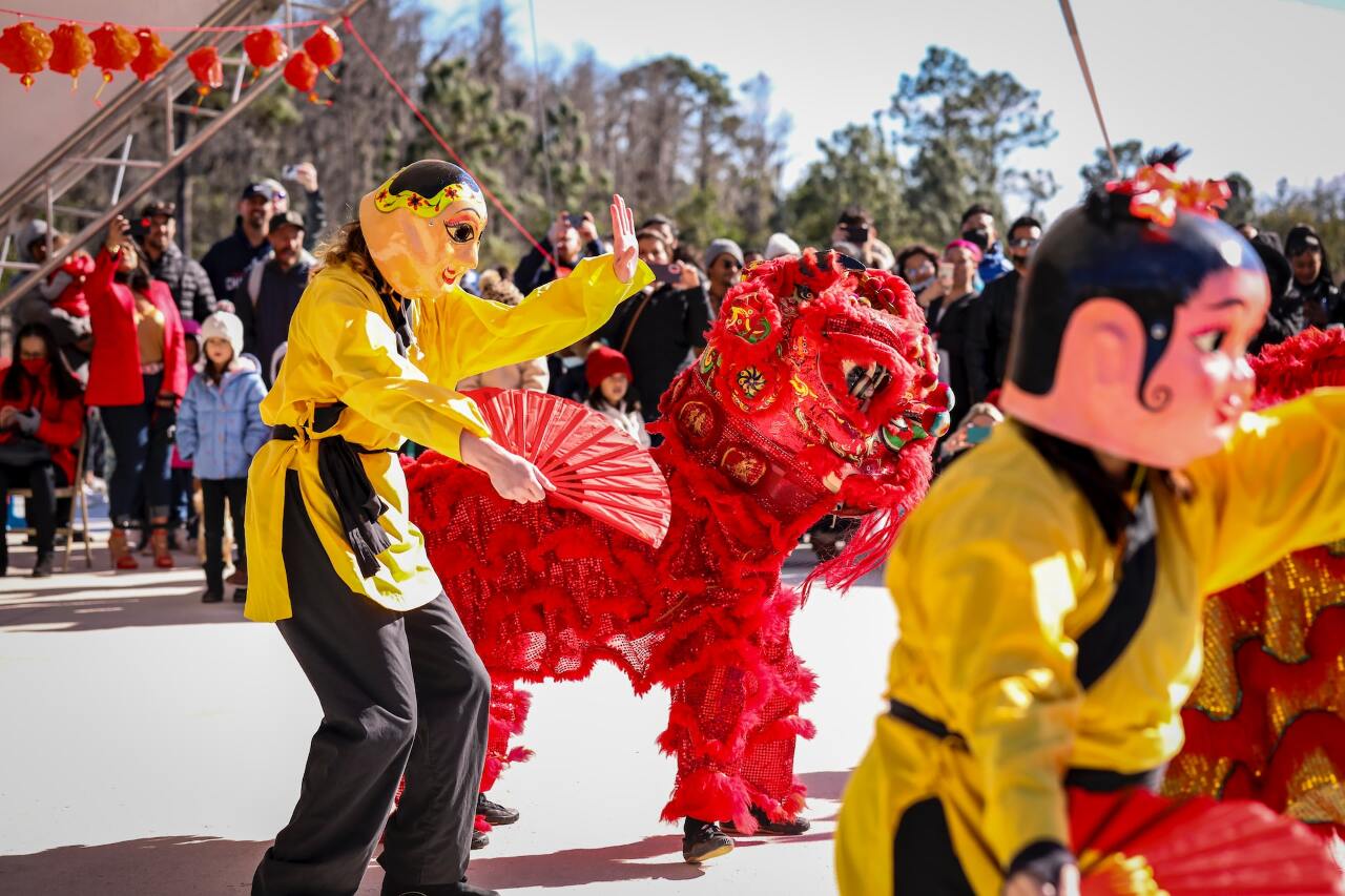 不滿Chinese變Lunar 中國網友新年出征要求道歉