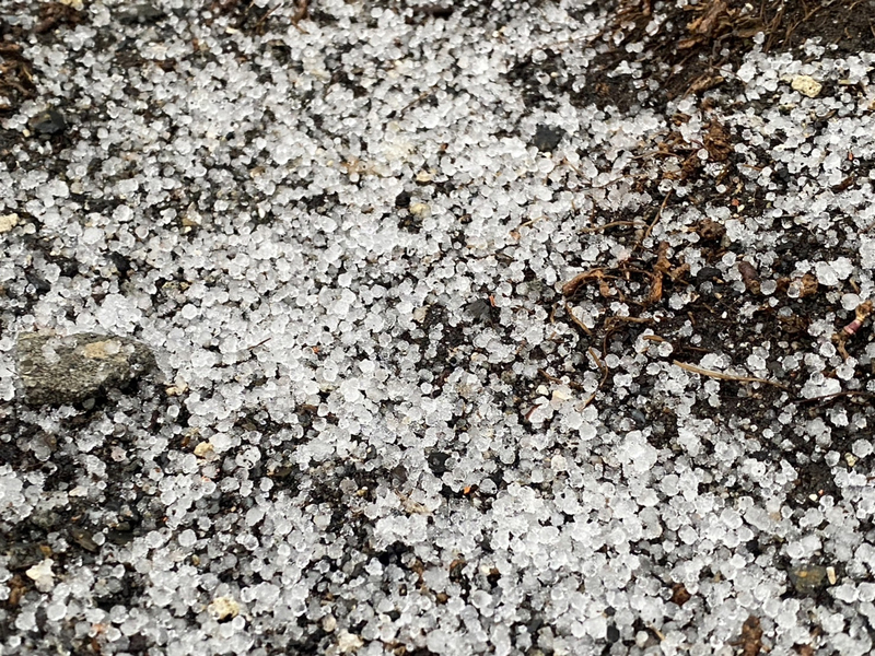 設站80年來最晚飄雪紀錄 玉山清晨短暫下雪10分鐘