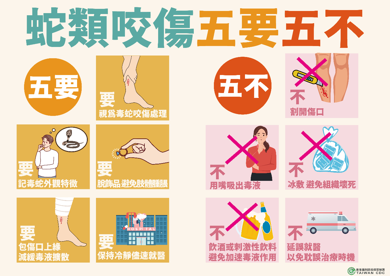每年逾千人遭毒蛇咬 掃墓郊遊切記「打草驚蛇」