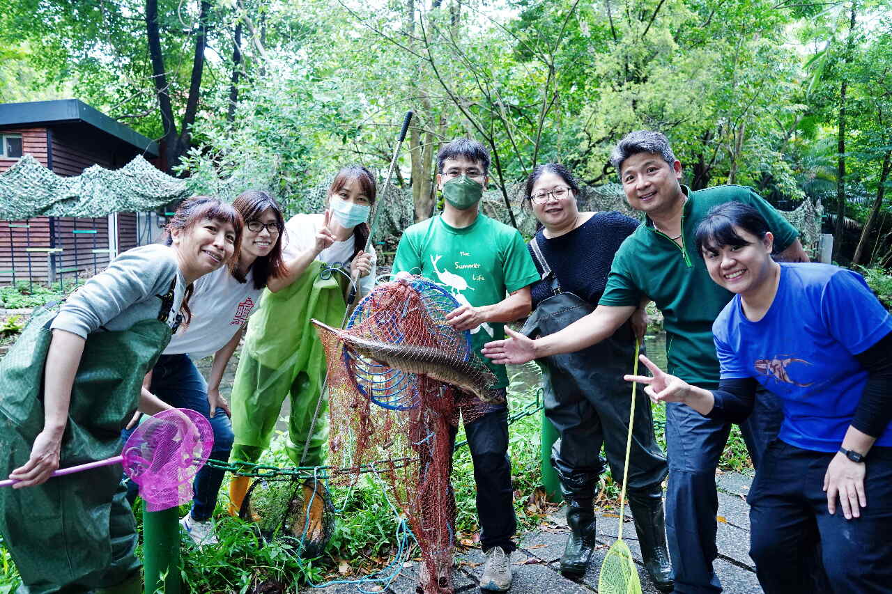 外來魚種入侵嚴峻 植物園捕獲巨型長吻雀鱔