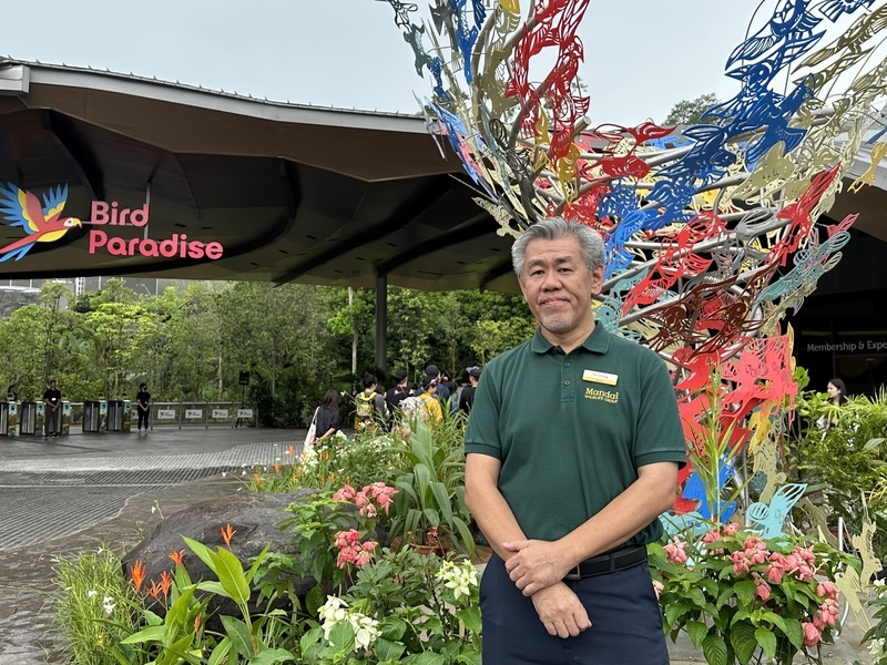 新加坡全新飛禽公園亮相&nbsp;主打8大展示區及企鵝館