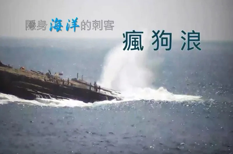 瘋狗浪示警燈號 最快2024年第2季試辦