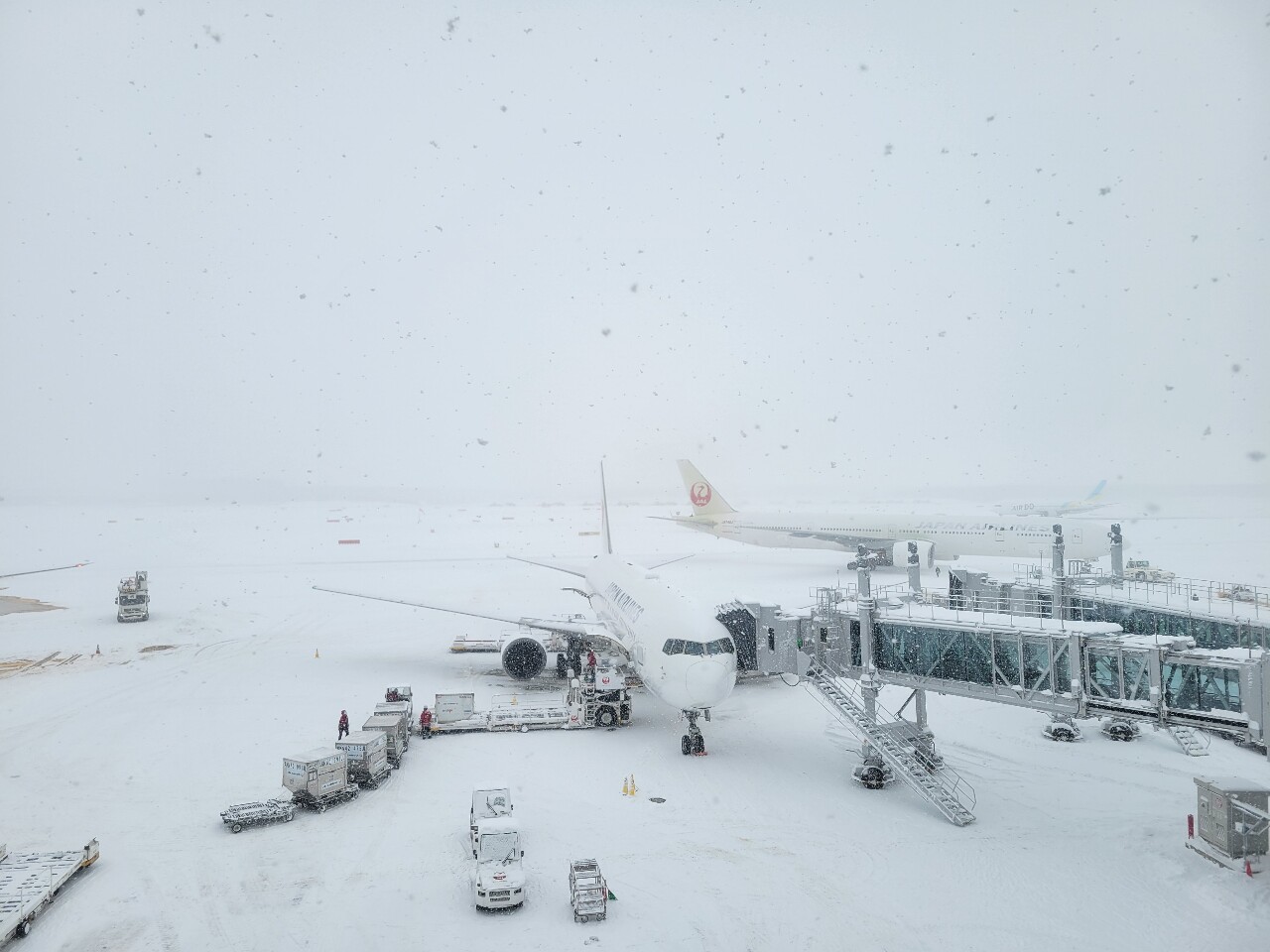 北海道風雪取消118航班 逾1600人留宿新千歲機場