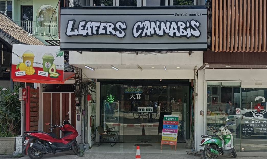泰國宣布 今年底前禁止娛樂用大麻