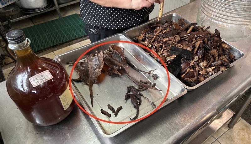 大逆轉！泡藥酒海馬遭疑塑膠製 中藥公會解剖：真貨