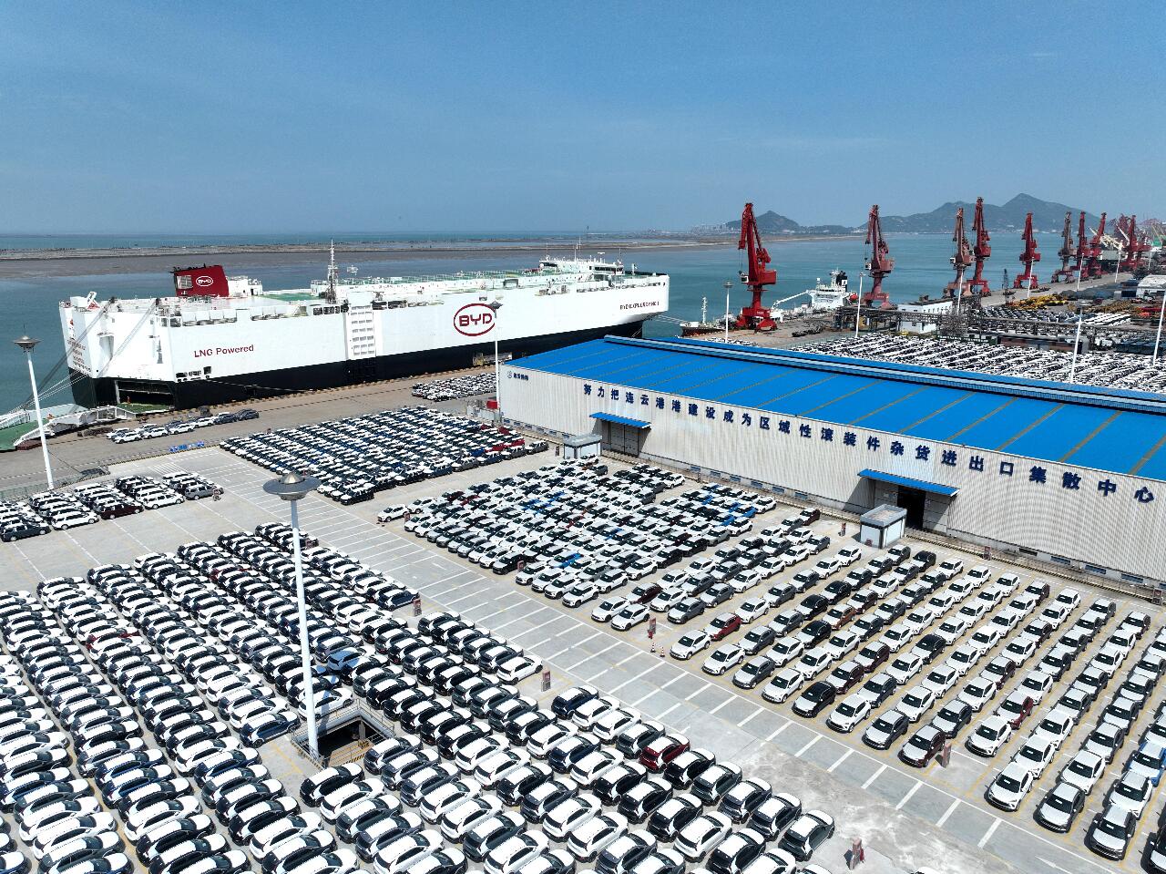 歐洲純電動車市場 比亞迪銷量首次超越特斯拉