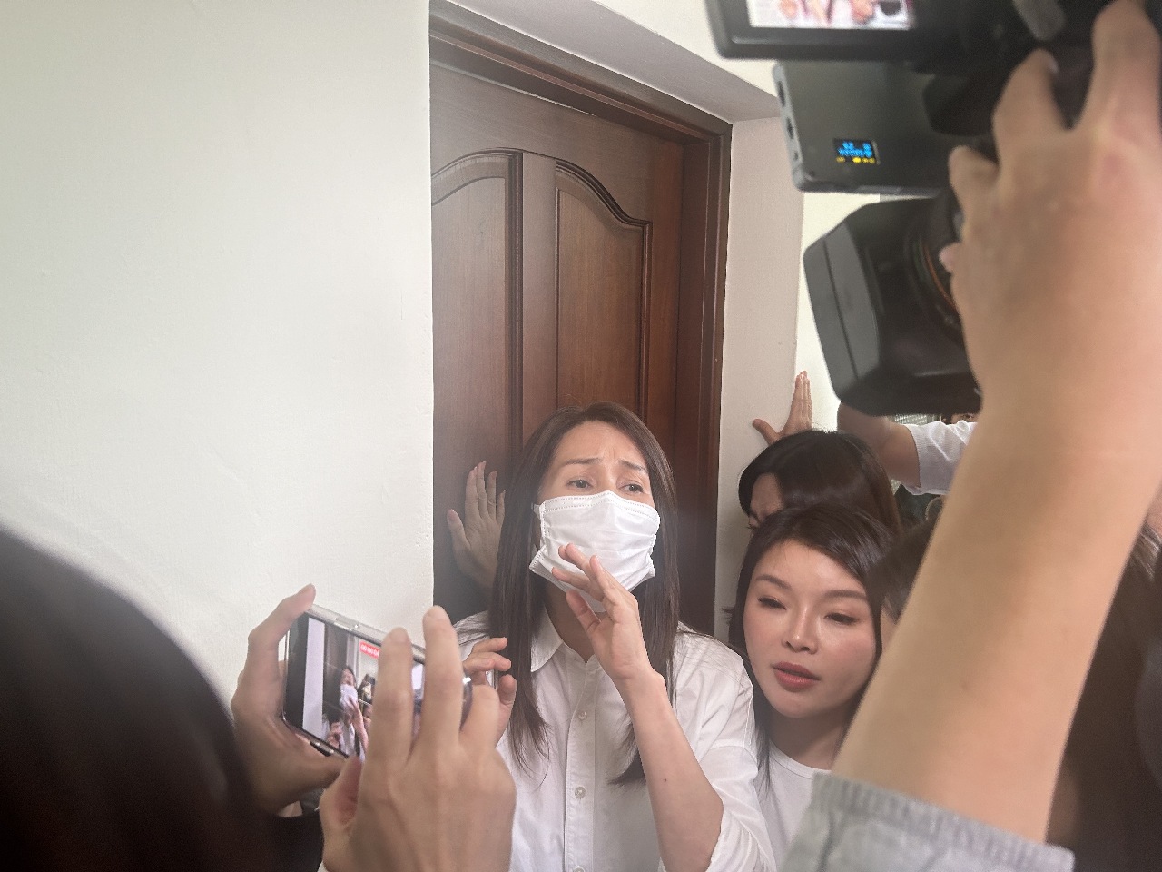 立院審選罷法 召委逕自改地點 綠委批會議無效