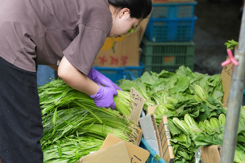 主產區淹水  批發菜價連漲2天復耕需1個月