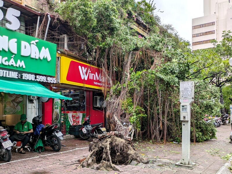 摩羯重創越南63死 水患嚴重數千人急撤
