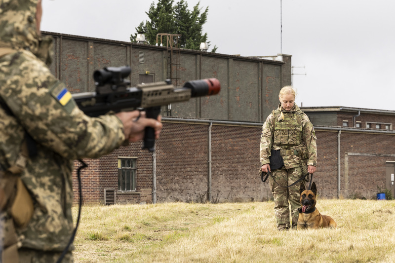英國協訓烏克蘭軍犬領犬員&nbsp;助除未爆彈