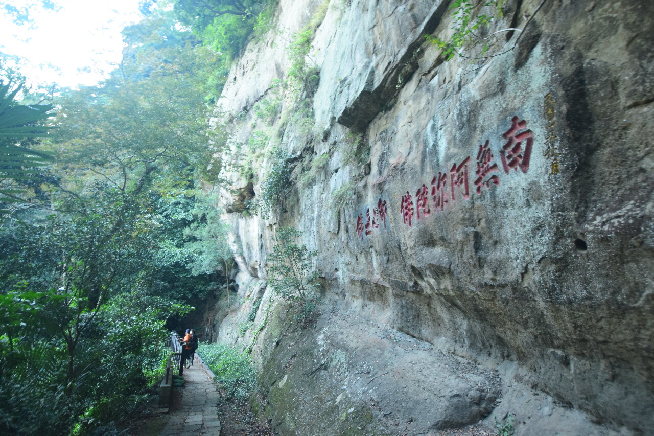 樟之細路推賴和、馬偕主題路線  感受文學宗教之旅