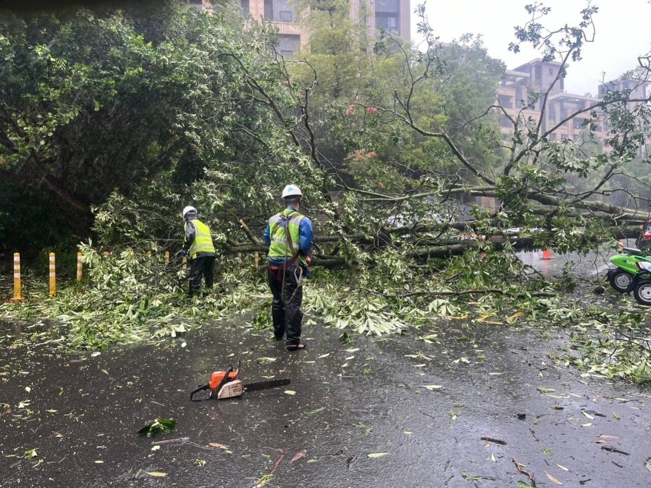 台北逾2千棵路樹被吹倒 蔣萬安：主要幹道幾已恢復