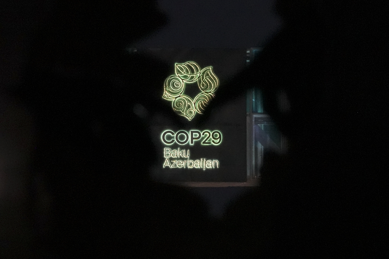 COP29報告 全球2024碳排量到達歷史新高