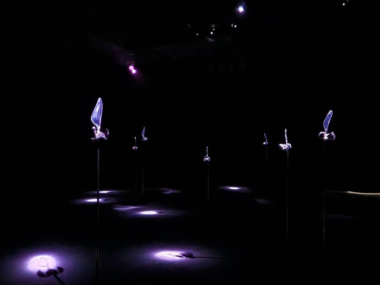 藝術家林彥君新作「洄鳴」北美館展出 循聲感知幽微之境