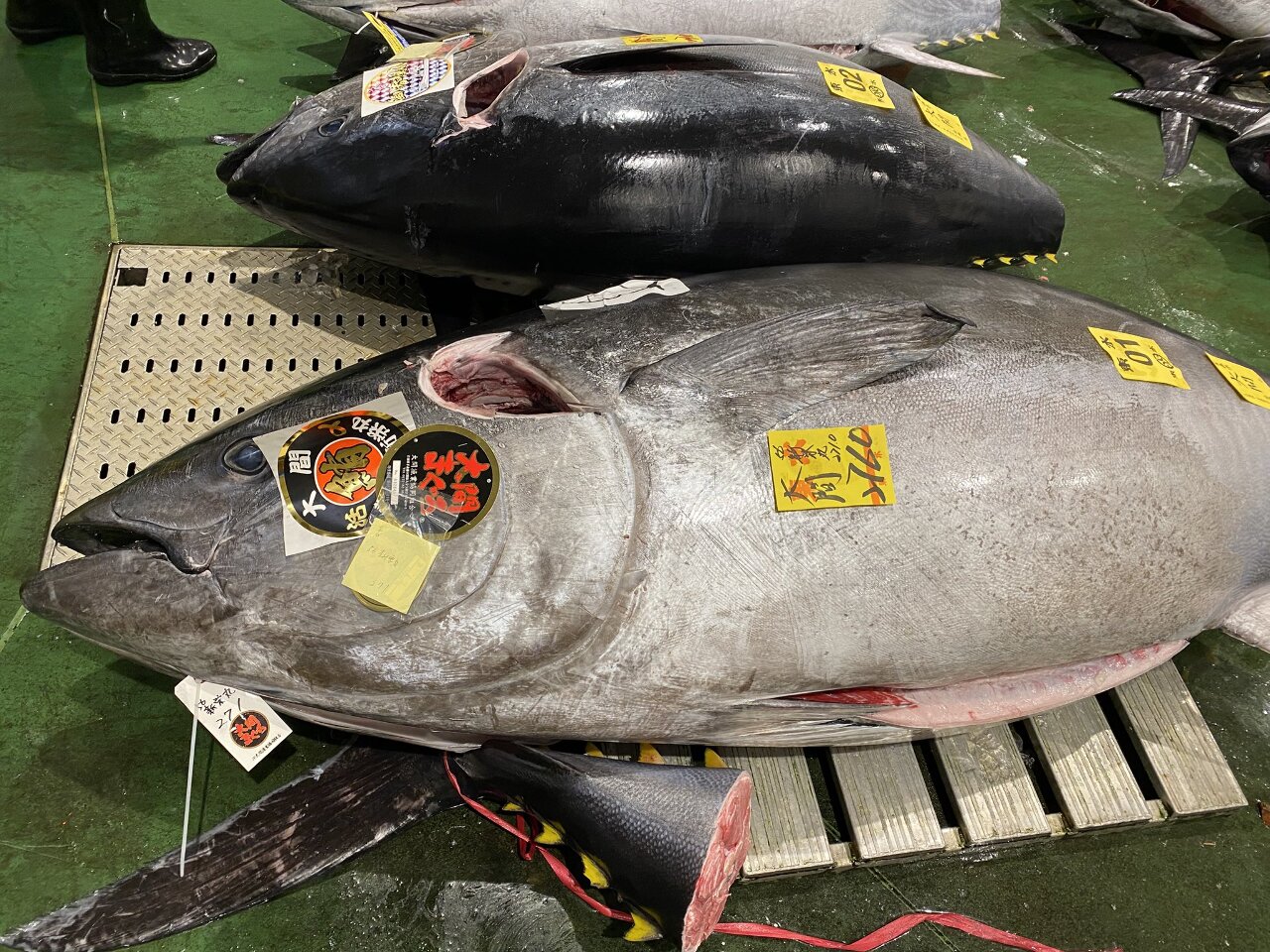 豐洲市場新年首拍 4142萬黑鮪魚創統計史次高價