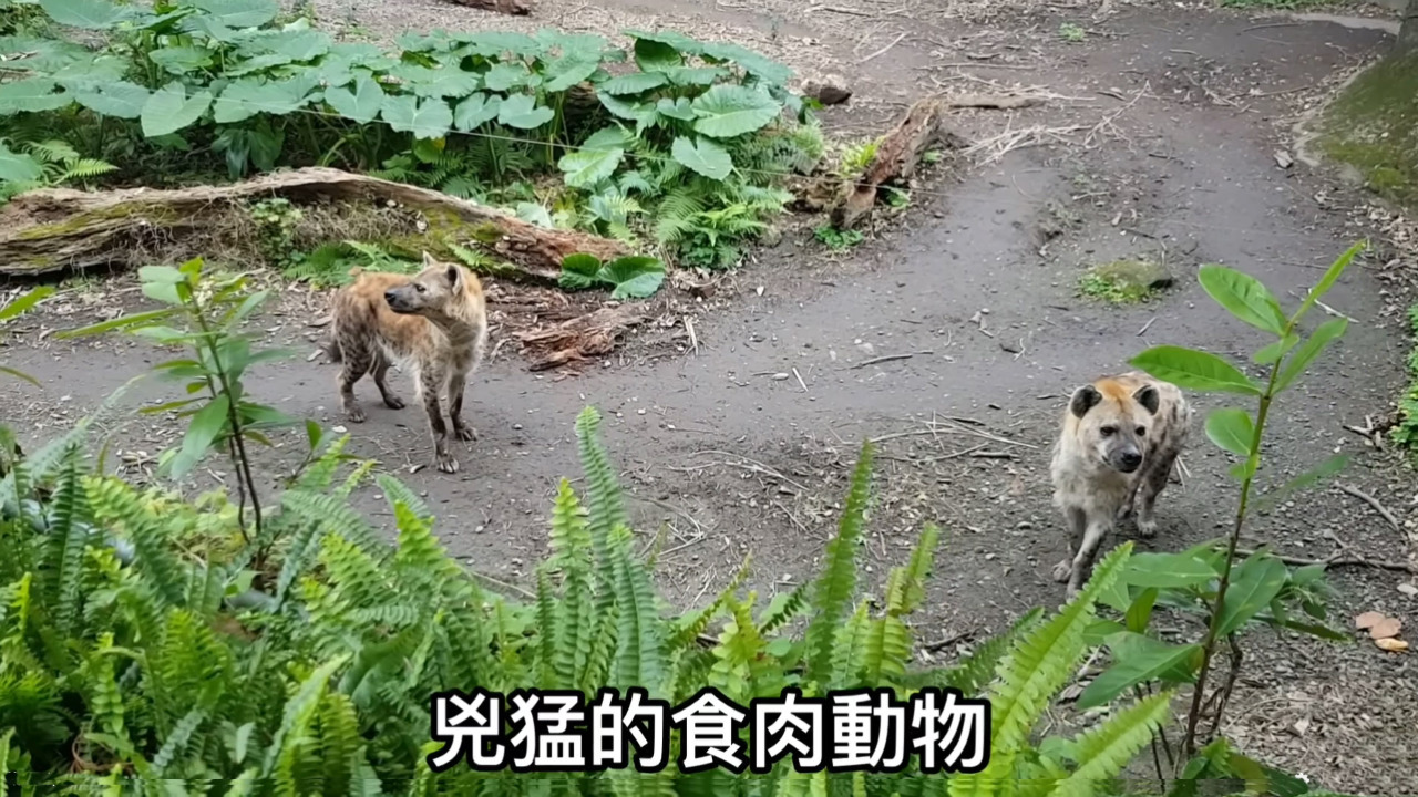 遊客傳出多起脫序行為 北市動物園籲請民眾阻止、檢舉