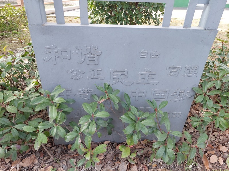 台北-上海：推中國式民主行對台統戰、書寫流動老人揭城鄉資源不公、上海年輕世代女性這樣表露性別平權