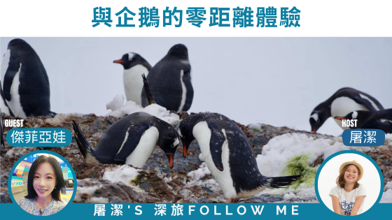 賞企鵝之旅｜從屏東到南極，企鵝的可愛無國界！